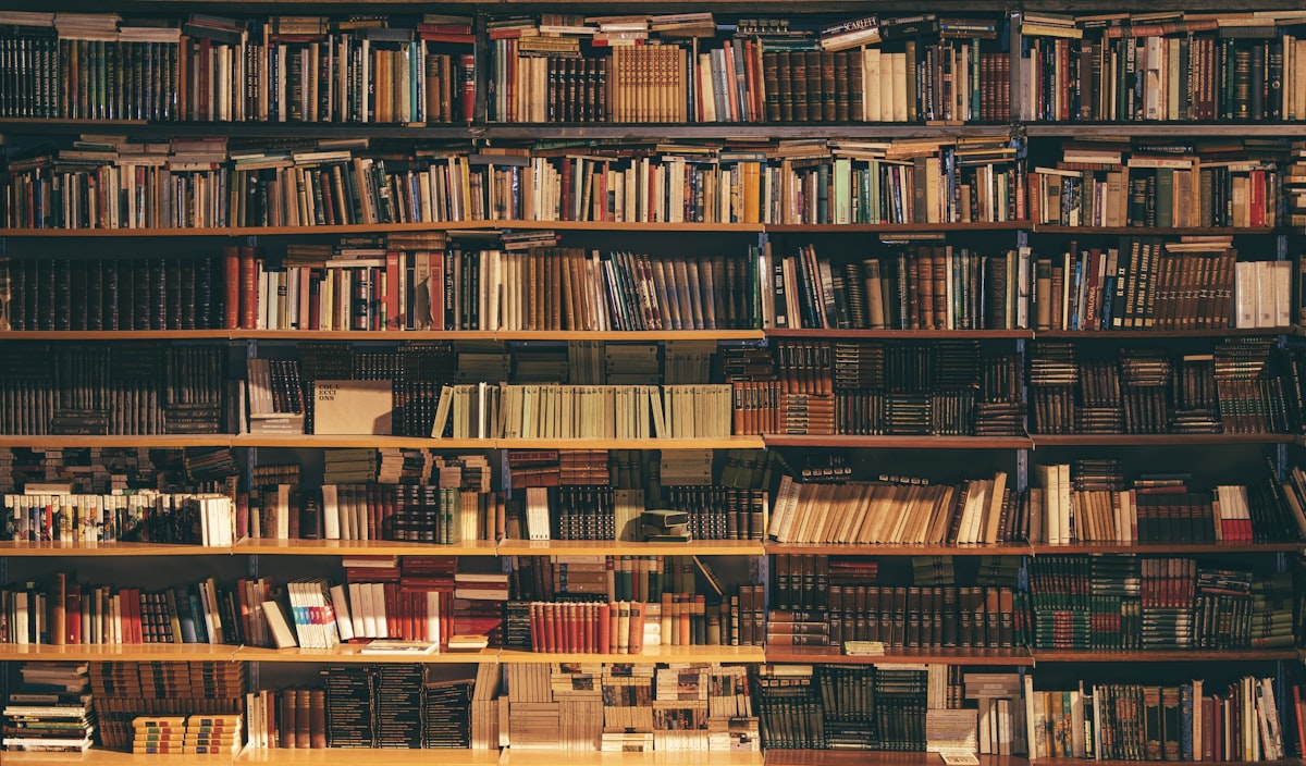 Cabinet de lecture avec monographies reliées et tables en cuir